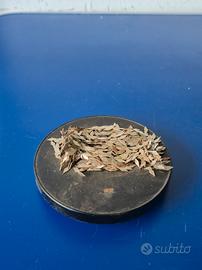 Scultura Magnetica Vintage Loncraine Broxton