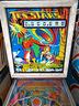 flipper-zaccaria-ten-star