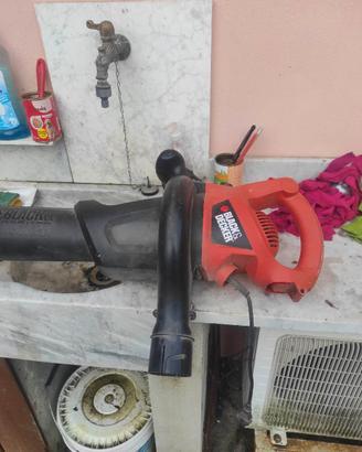 aspira foglie black&Decker gw2200