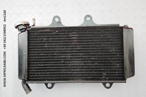 RADIATORE ACQUA KTM RC 390 2015 2016