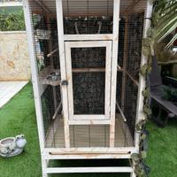 gabbia per pappagalli 