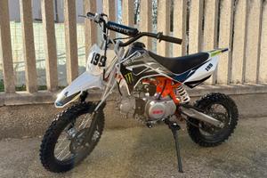 Pitbike kayo 110 monster TDS