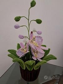 vaso con Calla 