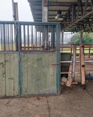 Frontali box