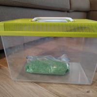 Vaschetta pesci con sassolini