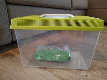 Vaschetta pesci con sassolini