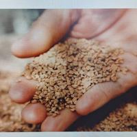 sacchi di nocciolino per stufa a pellet