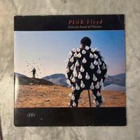 Pink Floyd - Delicate Sound Of Thunder (LIVE) - LP
