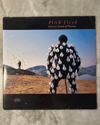Pink Floyd - Delicate Sound Of Thunder (LIVE) - LP