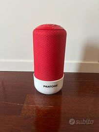 Cassa bluetooth Pantone con caricatore