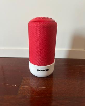 Cassa bluetooth Pantone con caricatore