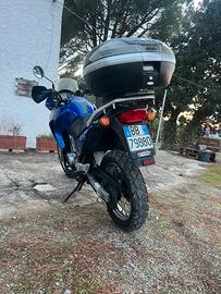 Transalp 650