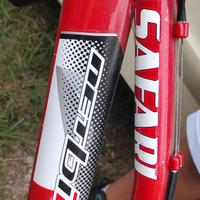 Mountain bike ragazzo 