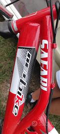 Mountain bike ragazzo 