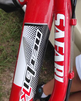 Mountain bike ragazzo 