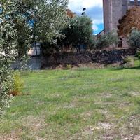 Terreno edificabile