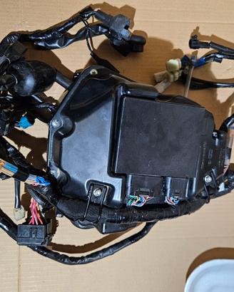 impianto elettrico kawasaki z650