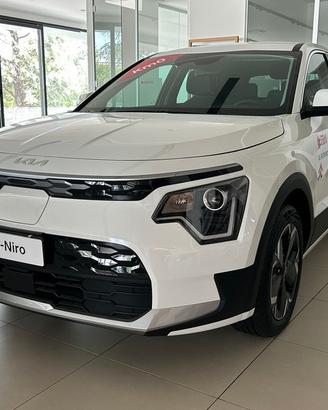KIA NIRO EV BUSINESS