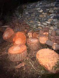 Legno di Pino Marittimo
