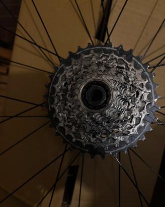 Cassetta 10-33 per bic Scott Addict 20 RC o simili