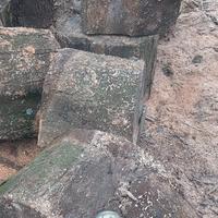 legna per stufa ho camino 