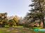 Immagine 29