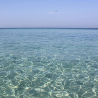 Salento Bilocale a 100 metri dal mare Lendinuso