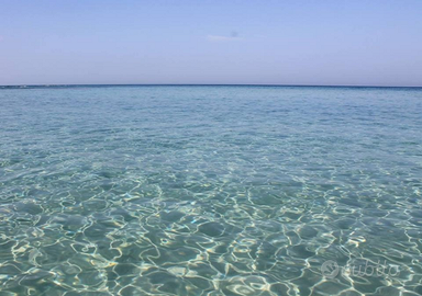 Salento Bilocale a 100 metri dal mare Lendinuso