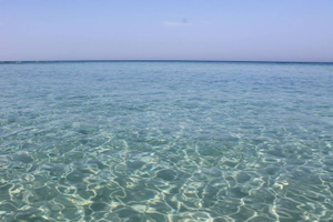 Salento Bilocale a 100 metri dal mare Lendinuso