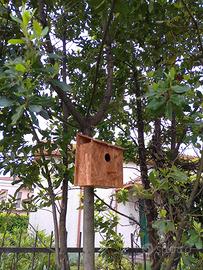 Casetta per uccellini 