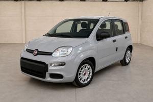 FIAT Panda III 2021 - Panda 1.0 firefly hybrid s&s