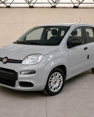FIAT Panda III 2021 - Panda 1.0 firefly hybrid s&s