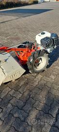 MOTOCOLTIVATORE PASQUALI