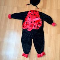 Vestito carnevale coccinella