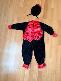 Vestito carnevale coccinella