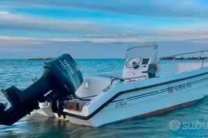 Mingolla meteora due