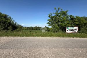 TER. AGRICOLO A CASTIGLIONE DELLE STIVIERE