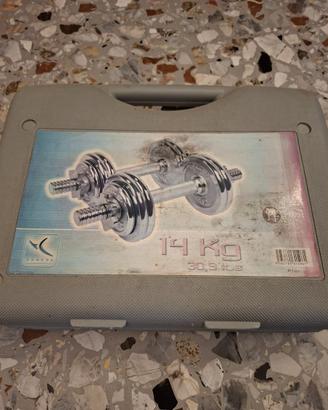 kit manubri decathlon