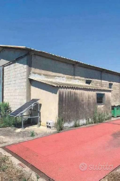 Immobile in asta di 289311 m² a Codigoro - Vista 2