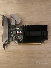 Scheda video ZOTAC GT 710