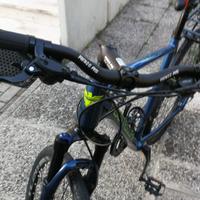  Bicicletta da città bottecchia