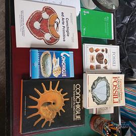 Libri conchiglie e fossili