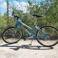 Bicicletta con telaio e cerchi in alluminio 