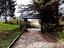 Immagine 3
