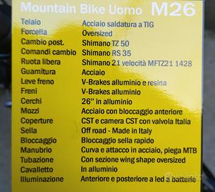 Mountain bike 