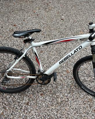 MTB uomo