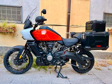 Harley Davidson Pan America special 1250