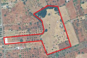 Terreno edificabile di 21.026 mq con fabbricati