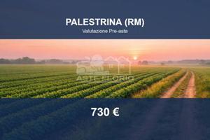 Immobile in asta di 468 m² a Palestrina