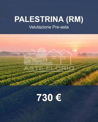 Immobile in asta di 468 m² a Palestrina